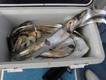 十八宝洋丸 釣果