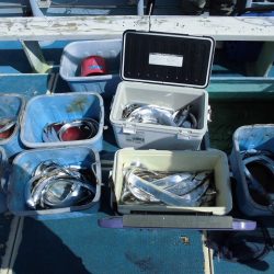 十八宝洋丸 釣果