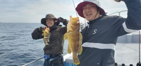 ブルーピア 釣果