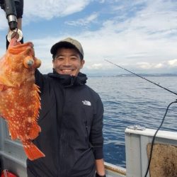 ブルーピア 釣果