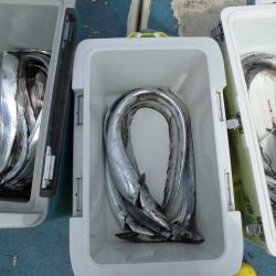 十八宝洋丸 釣果