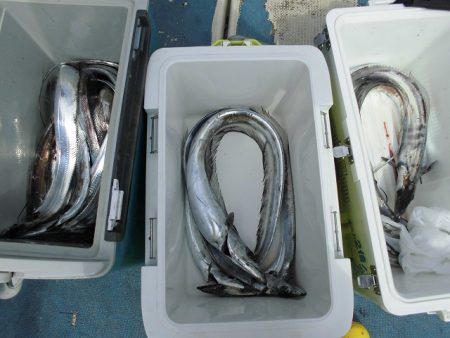 十八宝洋丸 釣果