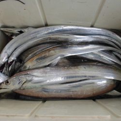 十八宝洋丸 釣果