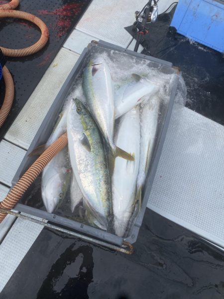 海龍丸(福岡) 釣果