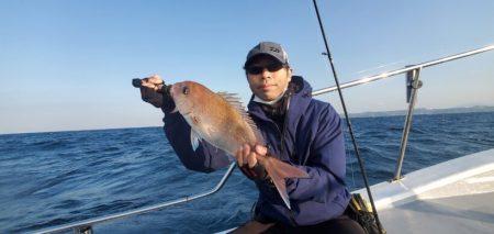 ブルーピア 釣果