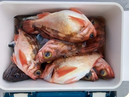 モンロー号 釣果