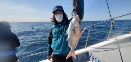 ブルーピア 釣果