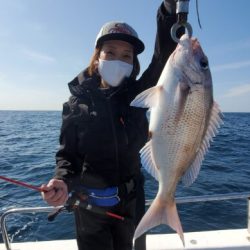 ブルーピア 釣果