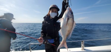 ブルーピア 釣果