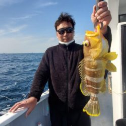 ブルーピア 釣果