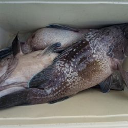 モンロー号 釣果