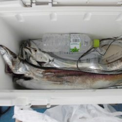 十八宝洋丸 釣果