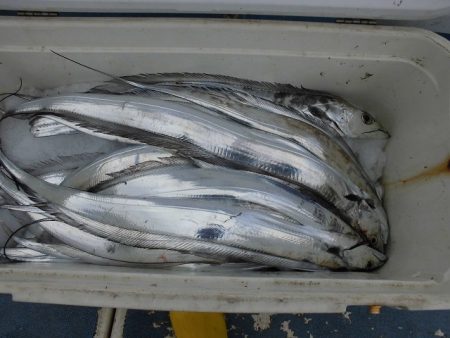 十八宝洋丸 釣果