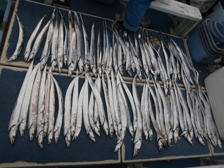 十八宝洋丸 釣果