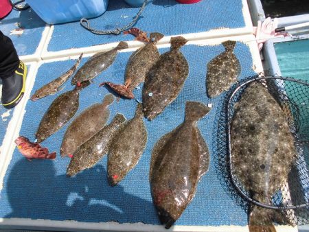 十八宝洋丸 釣果