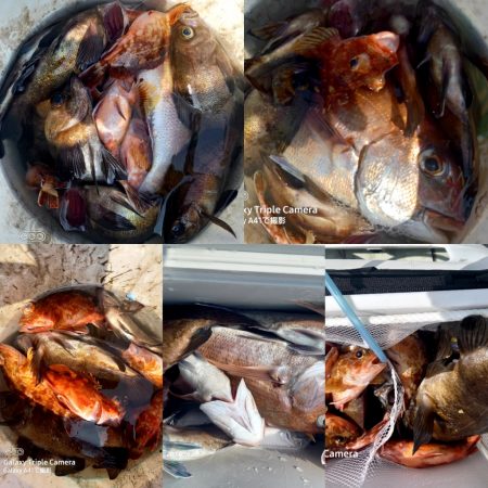 内浜丸 釣果