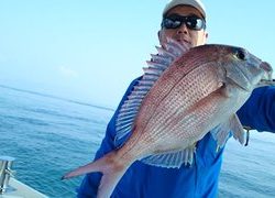 愛裕南丸 釣果