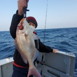 ブルーピア 釣果