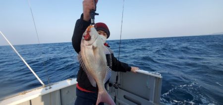 ブルーピア 釣果