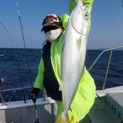 ブルーピア 釣果