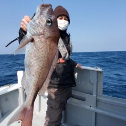 ブルーピア 釣果