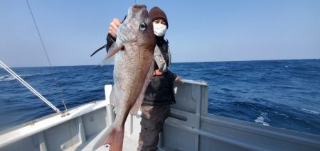 ブルーピア 釣果