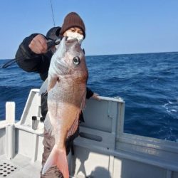 ブルーピア 釣果