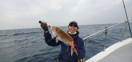 ブルーピア 釣果