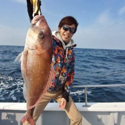 ブルーピア 釣果