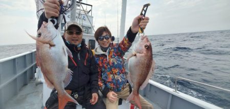 ブルーピア 釣果