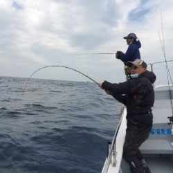 ブルーピア 釣果