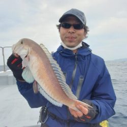 ブルーピア 釣果