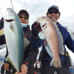 ブルーピア 釣果