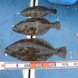 十八宝洋丸 釣果