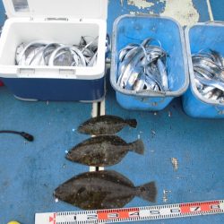 十八宝洋丸 釣果