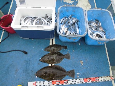 十八宝洋丸 釣果