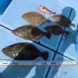 十八宝洋丸 釣果