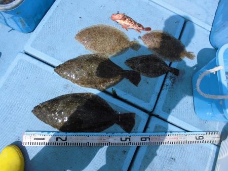 十八宝洋丸 釣果