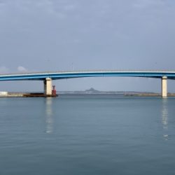 本部釣りイカダ 釣果