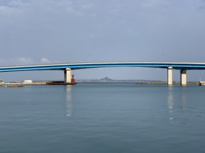 本部釣りイカダ 釣果