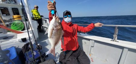 ブルーピア 釣果