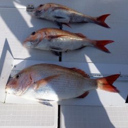 フィッシングボートACE(エース) 釣果