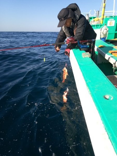 モンロー号 釣果