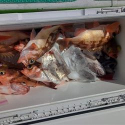 モンロー号 釣果