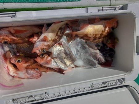 モンロー号 釣果