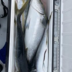 海龍丸(福岡) 釣果