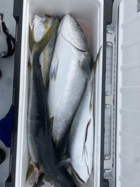 海龍丸(福岡) 釣果