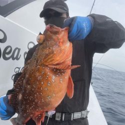 海龍丸(福岡) 釣果