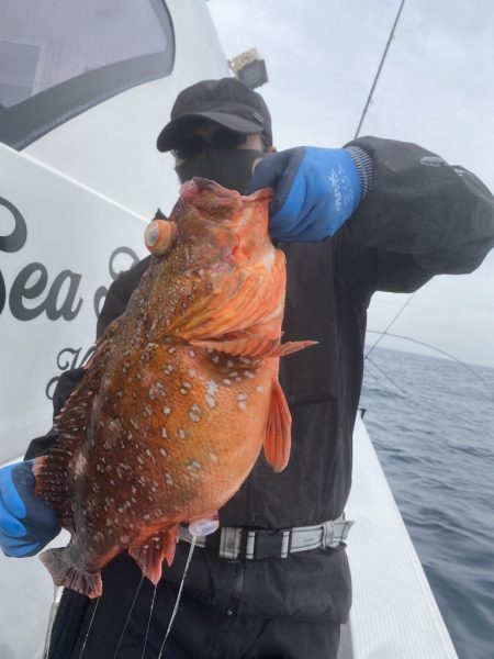 海龍丸(福岡) 釣果