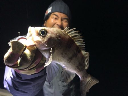 Magic(マジック) 釣果